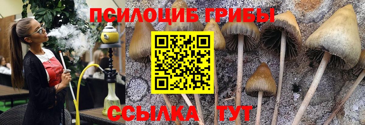 Псилоцибиновые грибы прущие грибы  Псилоцибиновые грибы Magic Shrooms  Кандалакша  Вход с VPN 